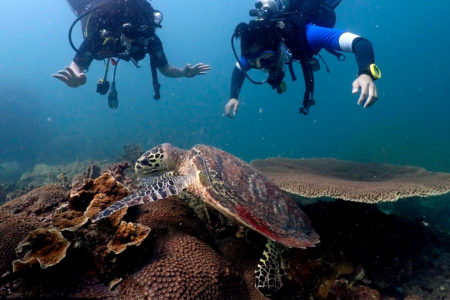 Photo Scuba Diving