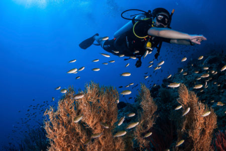 Photo Scuba Diving